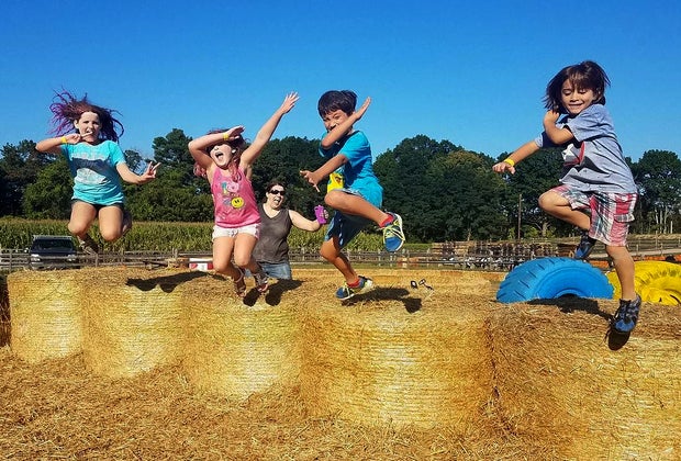 Image of kids on haystacks - Hayrides near Boston