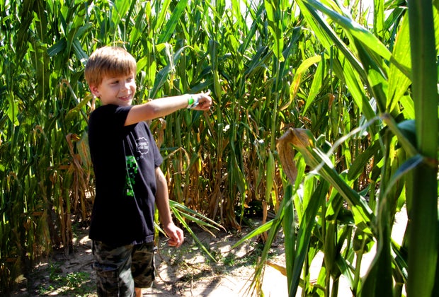 Corn mazes near Houston: Dewberry Farms