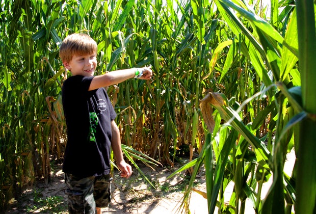Corn mazes near Houston: Dewberry Farms