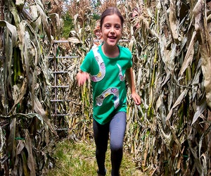 Celebrate the harvest at CORNucopia in Sleepy Hollow. Photo courtesy of the Historic Hudson Valley 