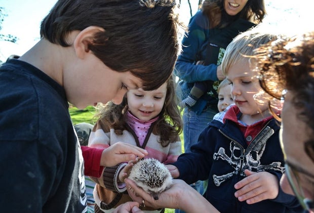 Image of kids with animals - Kids' Birthday Party Entertainers