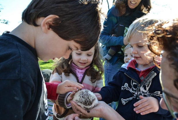 Image of kids with animals - Kids' Birthday Party Entertainers