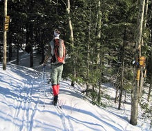New Jersey's beautiful hiking trails are perfect for exploring on cross-country skies when the flakes fly.