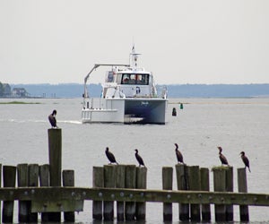 Enjoy a winter birding cruise. Photo courtesy of The Maritime Aquarium at Norwalk