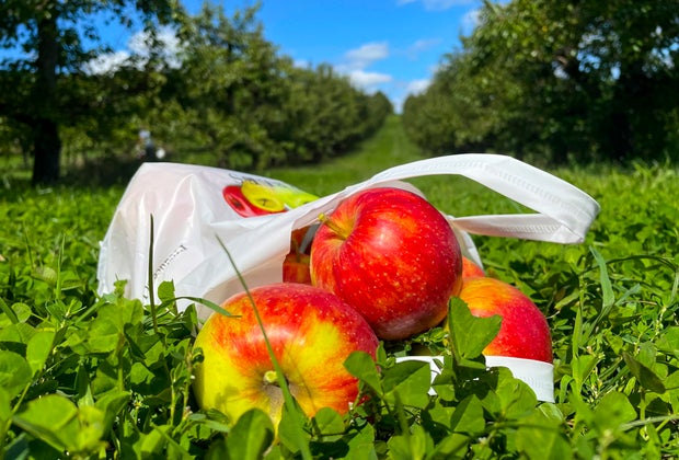 Image of bag of apples - Farm Fun at Lyman Orchards
