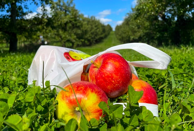 Image of bag of apples - Farm Fun at Lyman Orchards