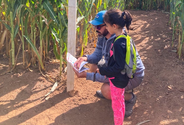 Image of parent and child in corn maze - Farm Fun at Lyman Orchards