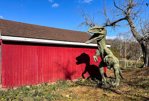 Easton Farms: Christmas Tree Capital of Connecticut