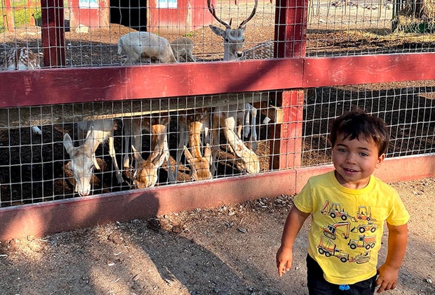 Ultimate Connecticut Bucket List Silverman's Farm Fairfield County