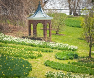 Photo courtesy of Winterthur