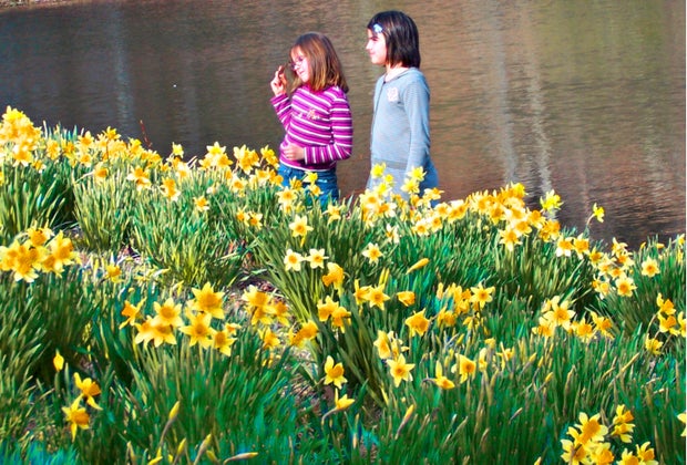 Laurel Ridge Farm Fun Things To Do in Connecticut During Spring Break 2025