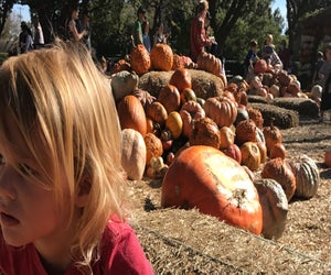 The Dallas Arboretum is a fun place for families in the fall or winter. Photo by Gabby Cullen