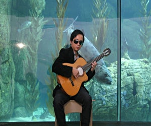 Enjoy the creative talent of Dat Nguyen on guitar. Photo courtesy of the Aquarium of the Pacific