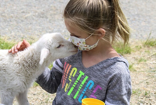 Image of child with a baby goat on a Boston day trip.