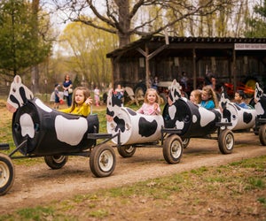 Ride the cow train at Great Country Farms. Photo courtesy of the farm