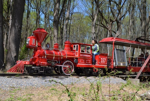 All-Ages DC Activities: Wheaton Regional Park