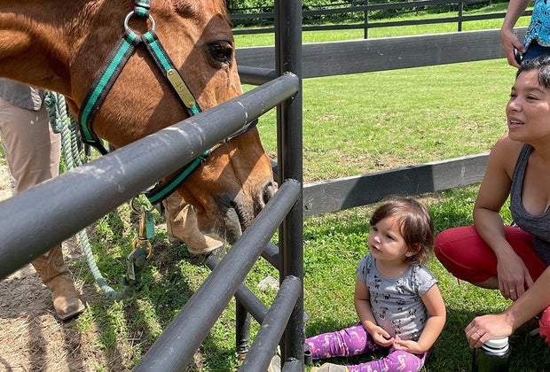 Little Creek Horse Farm and Park Decatur with Kids: Best Things To Do in Decatur, GA