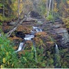 Fall foliage provides a glorious backdrop for a seasonal hike in the Delaware Water Gap. Photo by aimintang via Canva.com