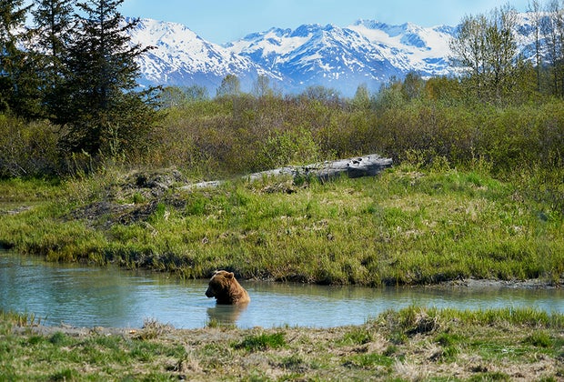 Denali: Best Family Travel of 2024