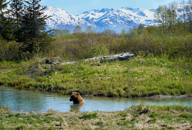 Denali: Best Family Travel of 2024