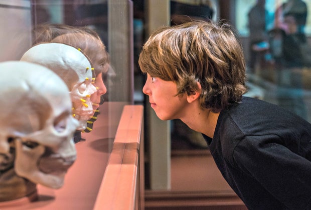 Family-friendly things to do in Denver: Denver Museum of Nature and Science