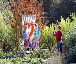 Photo courtesy of Descanso Gardens