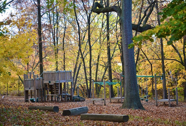 Devoy's shady playground