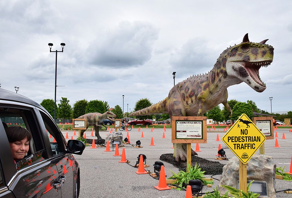 Dino Safari takes visitors on a prehistoric tour of more than 40 life-sized, moving dinosaurs in the parking lot at Deer Park's Tanger Outlets. 