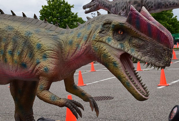 two dinosaurs seen from a car window in a Drive thru Safari