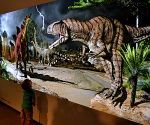 Dinosaurs at the Houston Museum of Natural Science. Photo by Rachael Cherry