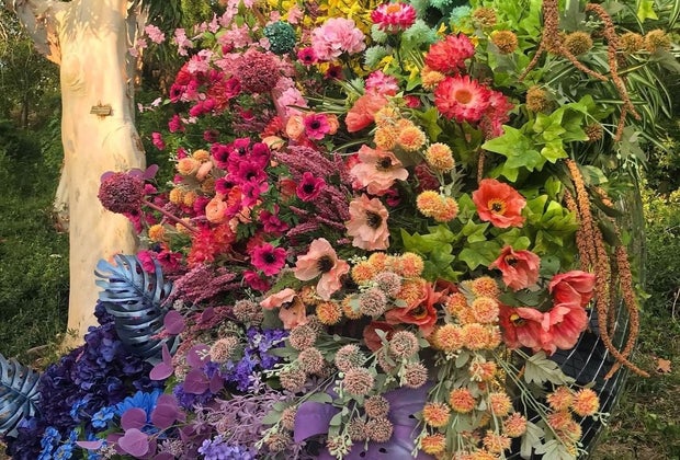 The DiscOasis at South Coast Botanic Garden: flowers dot the grounds