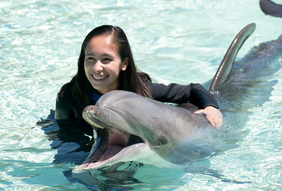 Photo courtesy of Seaworld