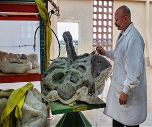 Go behind-the-scenes at Dino Fest. Photo courtesy of the Natural History Museum of Los Angeles County