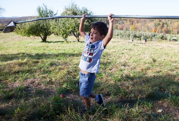 Apple picking near NYC Dr. Davies Farm