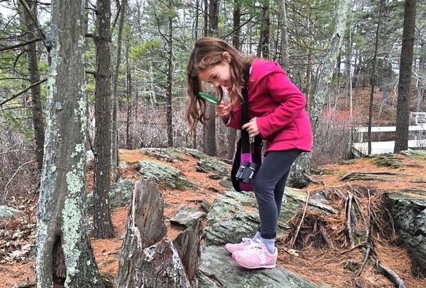 Spring Break Boston 2025 Drumlin Farm Boston Mass Audubon