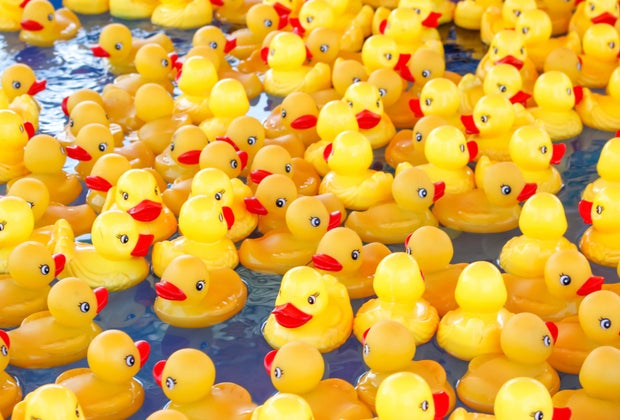 National Runner Ducky Day is a bright and fun day to celebrate! Photo by Canva