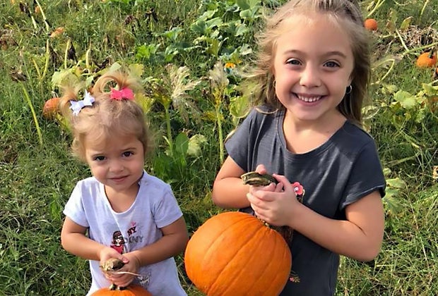 Pumpkin patches near New Jersey Duffield's Farm