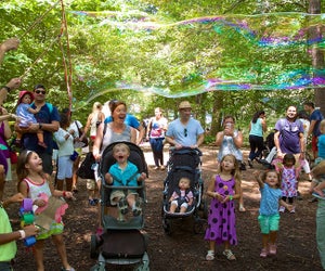 Experience the beauty of nature at Dunwoody Nature Center's Butterfly Experience on September 6 & 7. Photo courtesy Dunwoody Nature Center