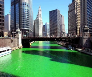 Chicago River for St. Patrick's Day. photo courtesy of Lawnstarter