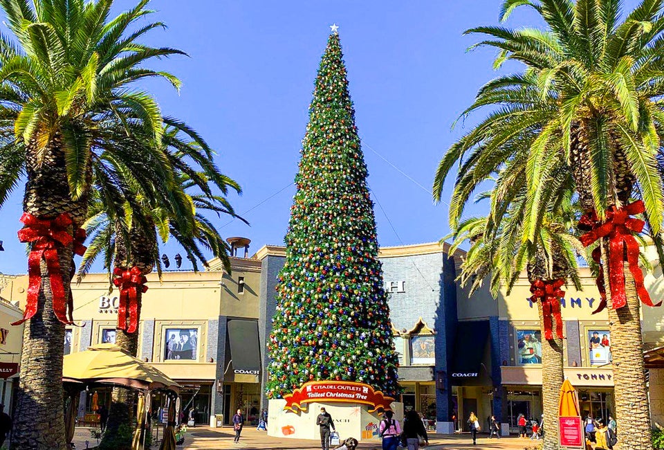 Is this really America's tallest fresh-cut Christmas tree? Check it out live and see! Photo courtesy of Citadel Center