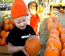 From local parking lot patches to farms near Los Angeles, here's where to find your perfect pumpkin.