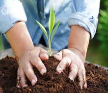 Find hands-on ways to care for the planet at Earth Day 2025 celebrations in Connecticut.