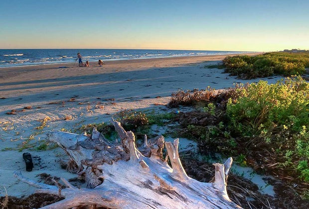 Beach-adjacent Galveston Island State Park.