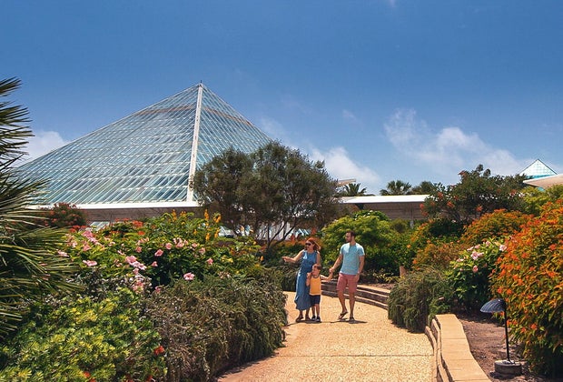 Day trips from Houston: Galveston