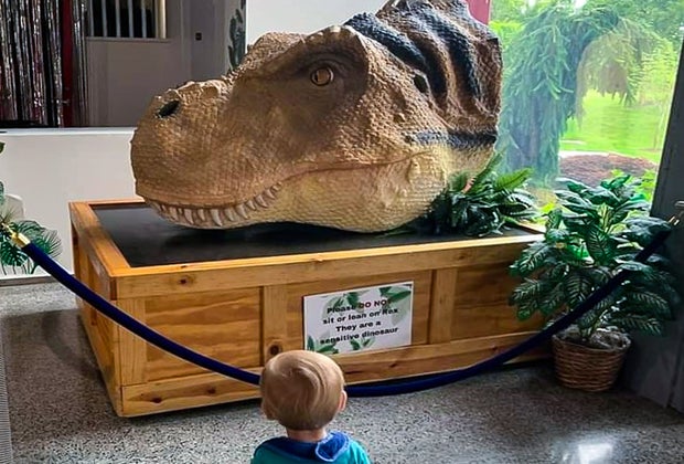 Image of T. rex - Discovery Science Center Kids Stem Bridgeport CT