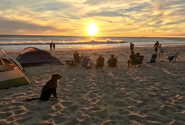 Dog-Friendly Beaches Near Los Angeles: Thornhill Broome
