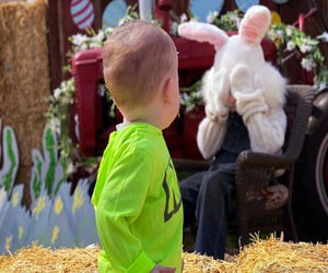 Meet the Easter Bunny at  Johnson's Corner Farm. Photo courtesy of the farm