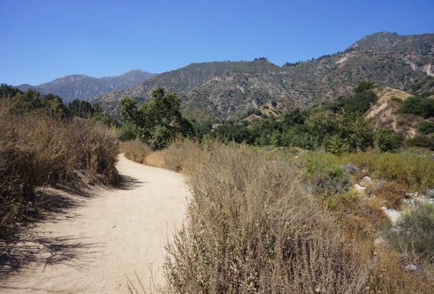 Wildlife Hikes for Kids  in Los Angeles: Eaton Canyon