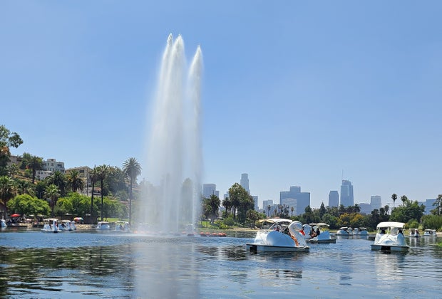 The fountain in the middle of Echo Park Lake as seen from the swan boats.