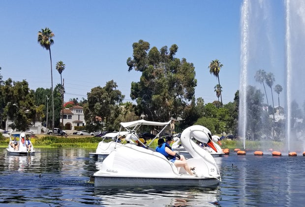 The swan boats at Echo Park Lake are a great workout!